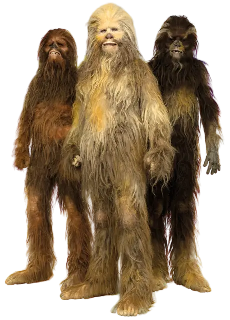 Wookiee-Trio-Mt-HChewbacca