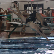 IMG-0235