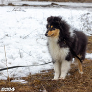 IMG-2319