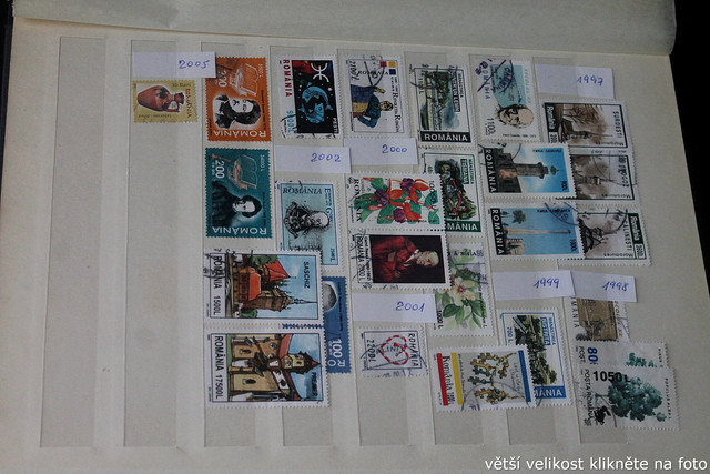 IMG-2567.jpg