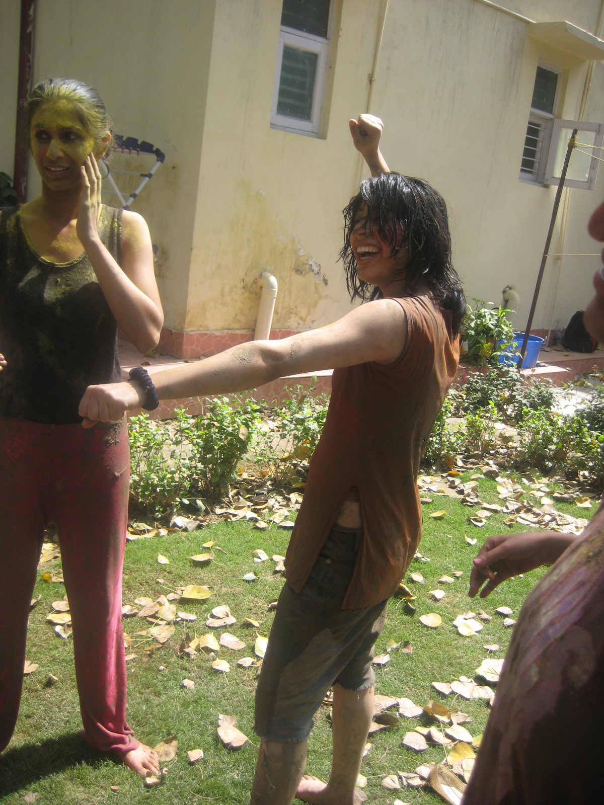 [Image: holi-hqset1103.jpg]