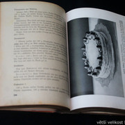 IMG-2131