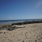 DSC01260