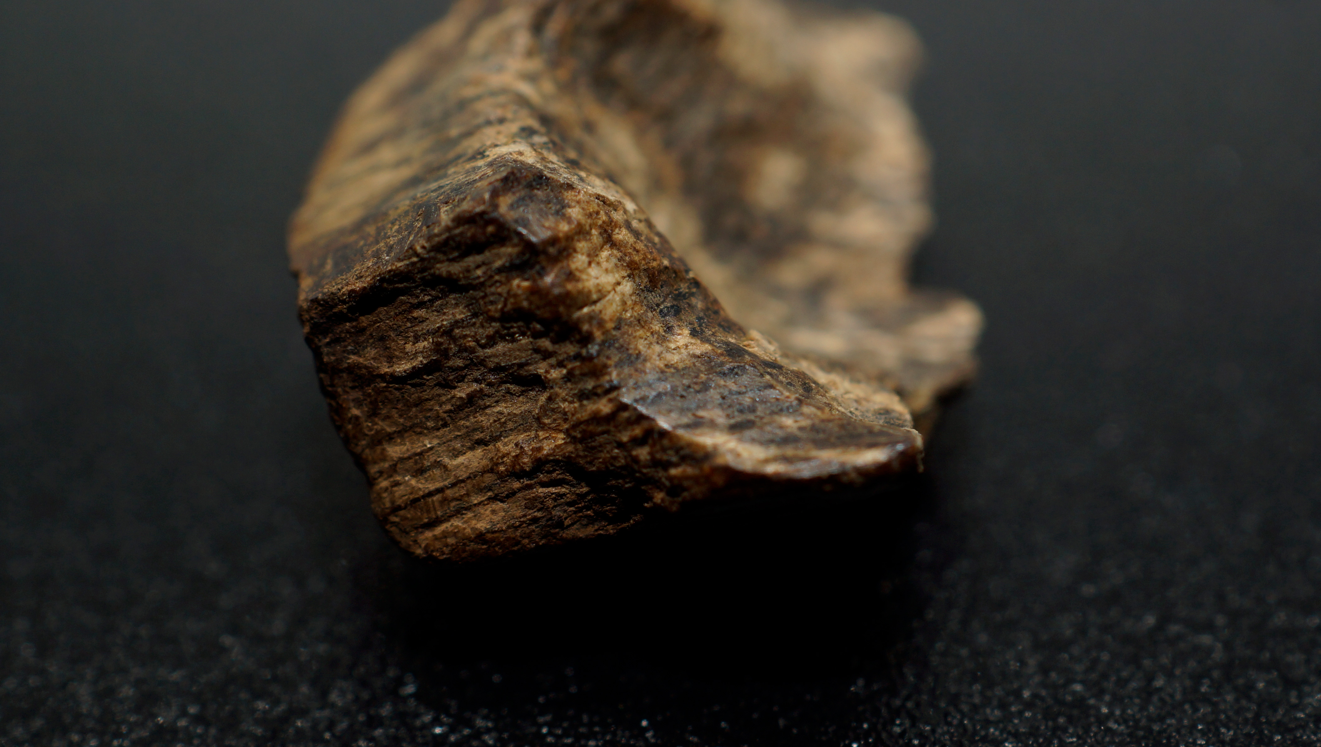 [Ouddict.com] Oud Wood