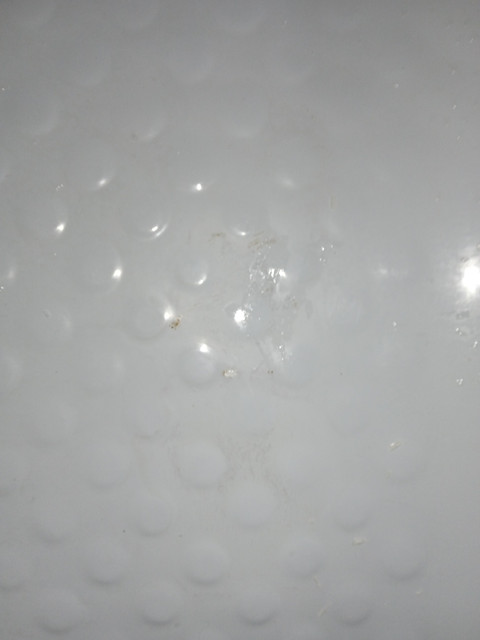 IMG-20231106-083848-1