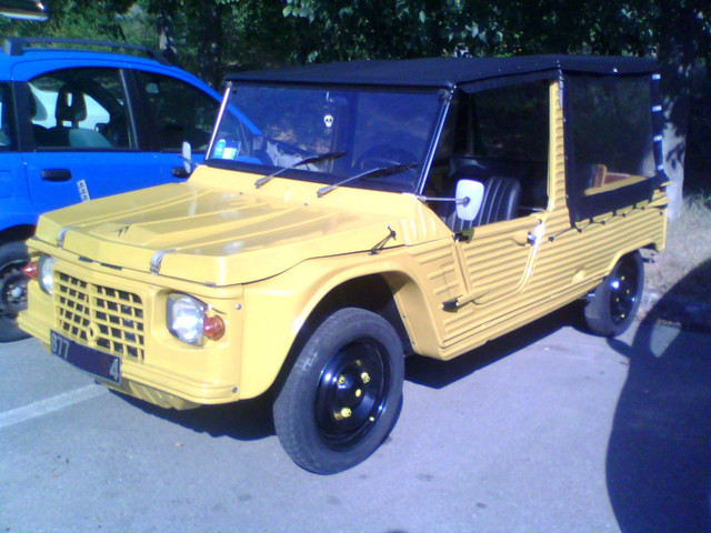 i.ibb.co/rx4yyHy/IMG10828.jpg