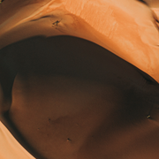 IMG-20191220-155044