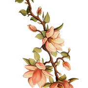 656a61596abfbb7af655c92a3a576fe2