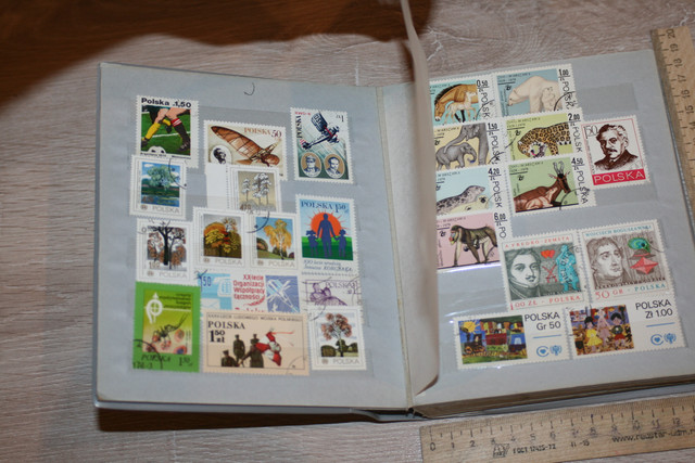 IMG-0665