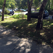 IMG-7242