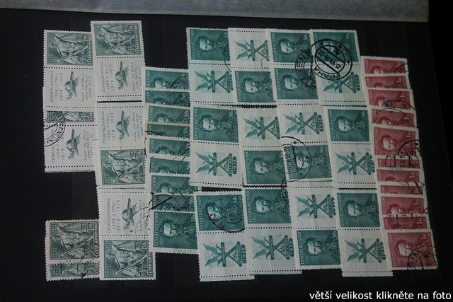 IMG-3286.jpg