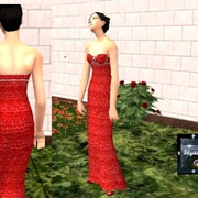 Red-Heart-Gown