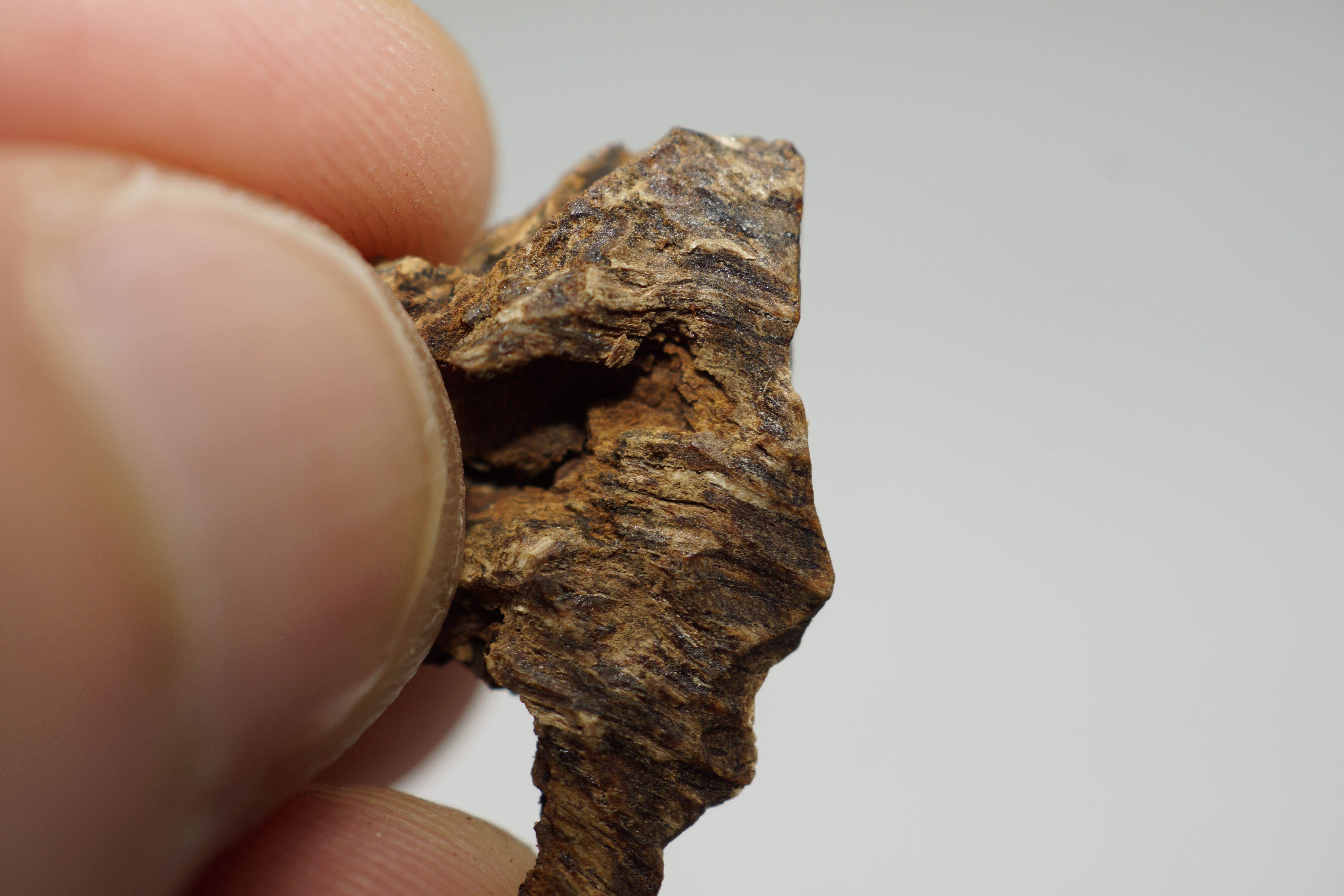 [Ouddict.com] Oud Photos