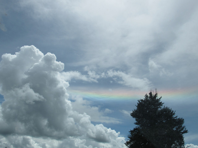 IMG-2522
