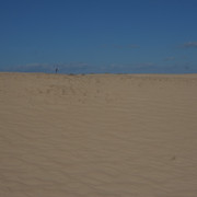 DSCF8565