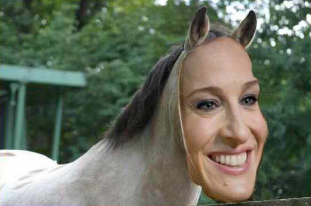 horse