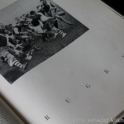 IMG-5549