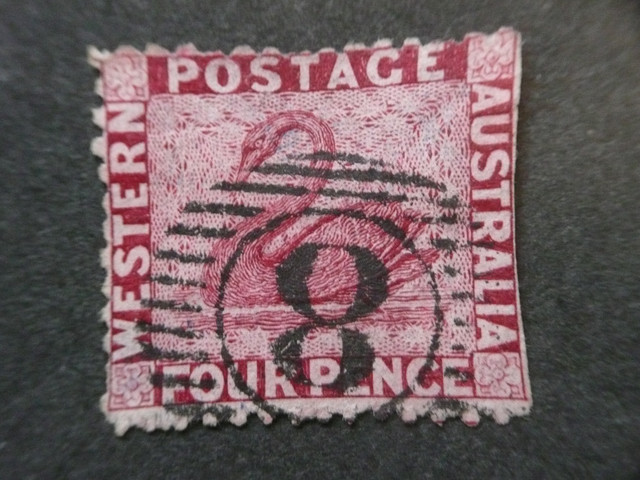 P1040548
