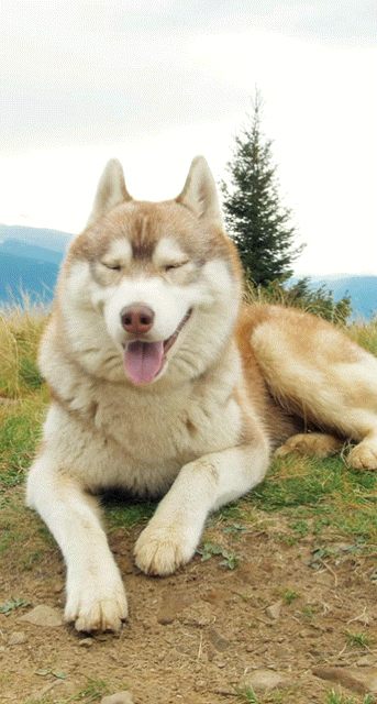 1006b5b8067fb6167255ce975bdb8d21