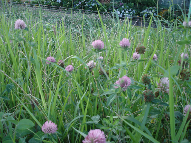 2012-07-08-41