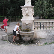 IMG-8795