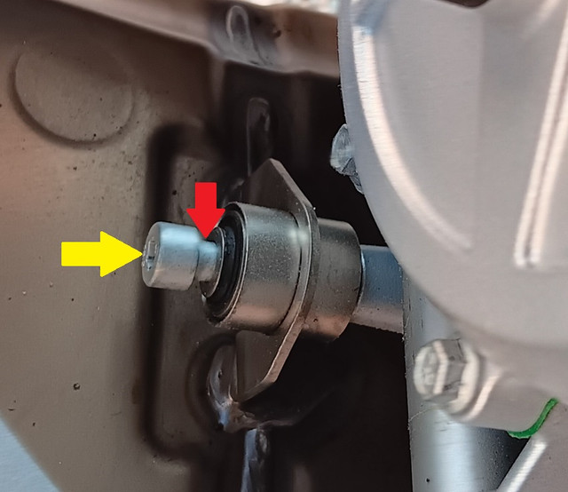 Cat-support-bolt-20240715a1