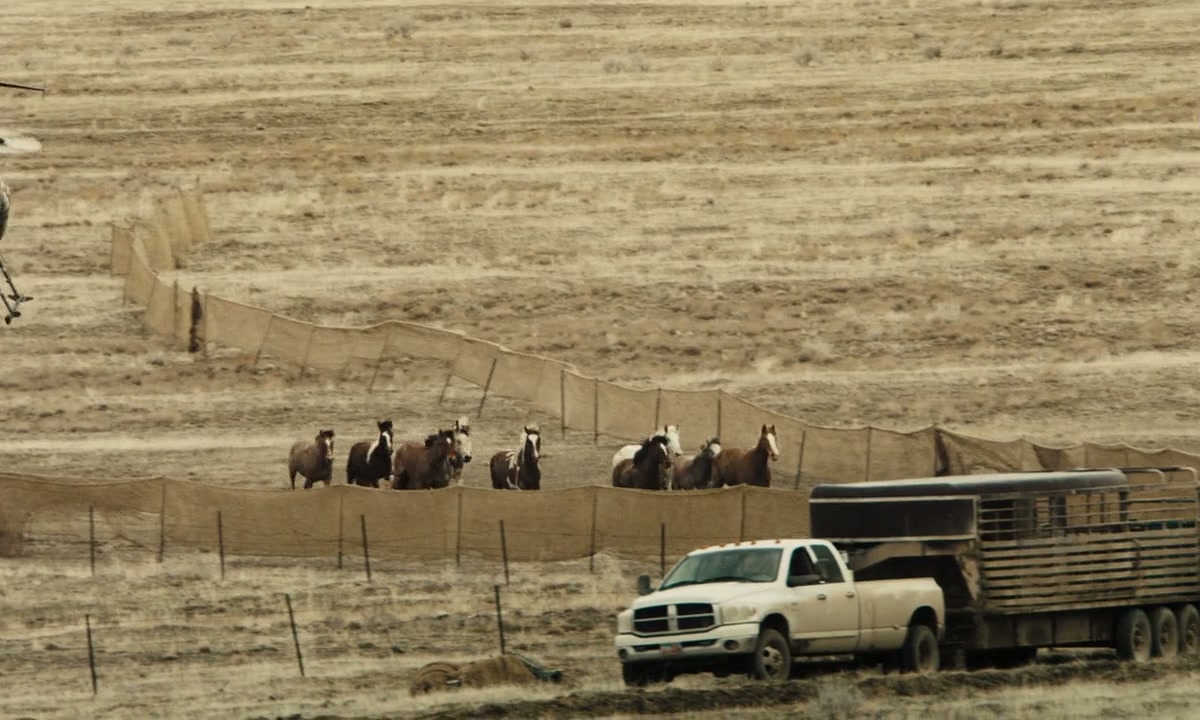 The Mustang Screenshot