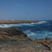 DSCF8176