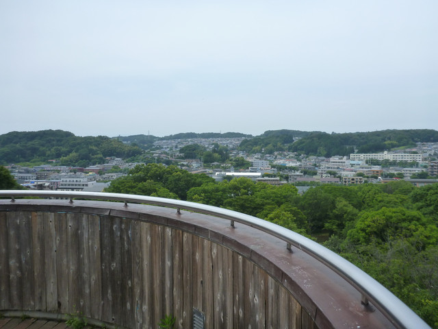 P1310965