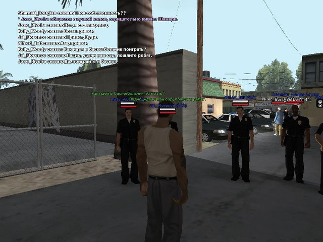 gallery241.jpg