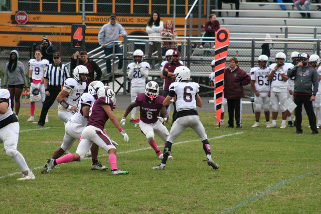 IMG-0323.jpg