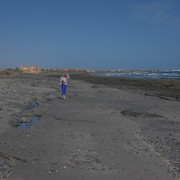 DSCF8219