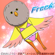 iwatobi3