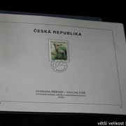 IMG-2181