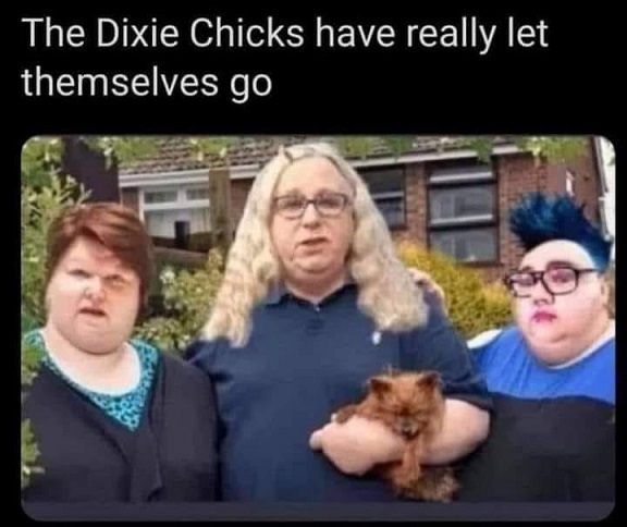 dixiechicks.jpg