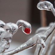 IMG-9214