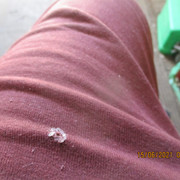 IMG-5102