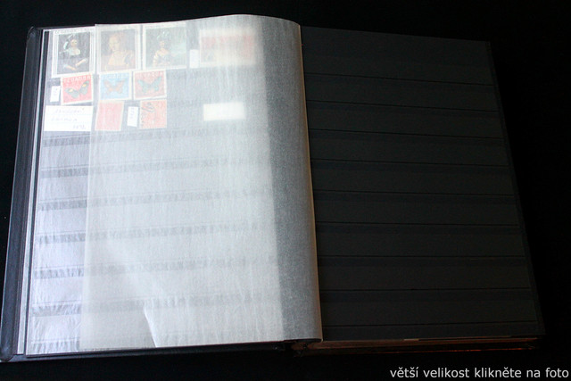IMG-6837
