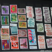 IMG-3645