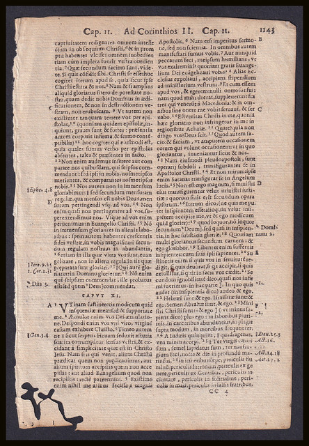367157-2.jpg