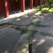 IMG-7464