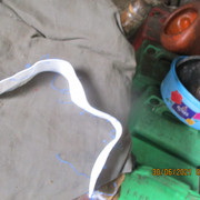 IMG-5595