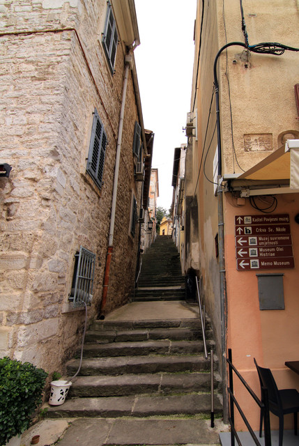 IMG-9695.jpg