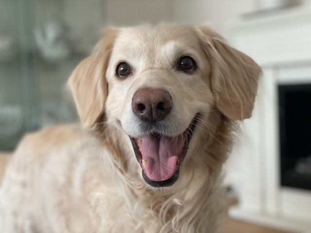 40774478-0490-439-B-8-FFA-CBBB2-C1-F09-E