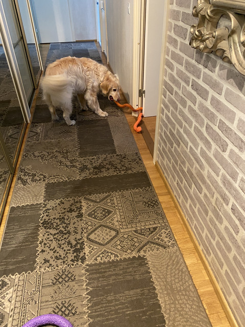 20-CB6-ED8-649-F-4-E1-C-95-E9-B850482-A0