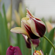 DSC01364