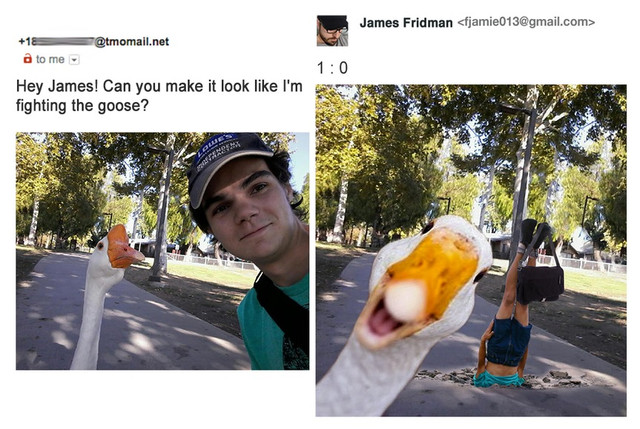 Goose