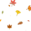 25b9ae7f8e47