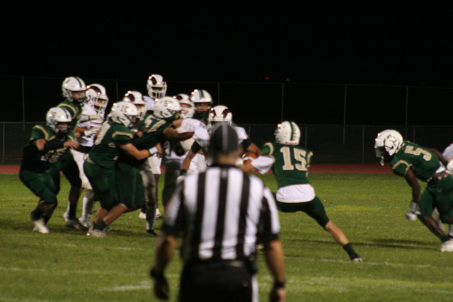 IMG-6776.jpg