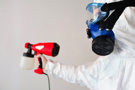 Mold-Removal-in-Hamilton